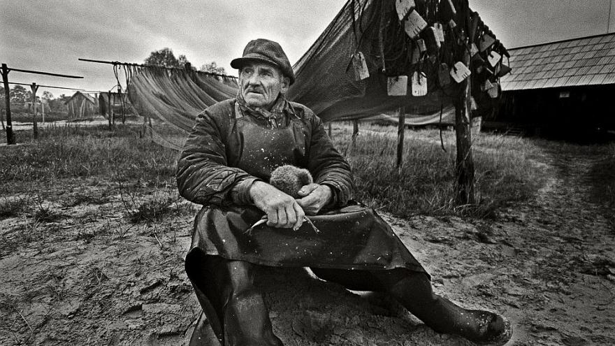 Attēls rakstam: Apaļais jūrasgrundulis pilda maku, bet uz pannas nelec! (nobeigums)