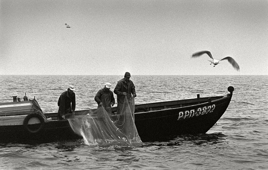 Baltijas lasis nezaudē vērtību starp norvēģu "iekrāsotajiem" (nobeigums)