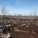 Attēls rakstam: Ekosistēmu stabilitāte ir tieši atkarīga no klimata