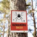 Attēls rakstam: Ērces nesnauž! Kā pareizi rīkoties pēc šo kukaiņu koduma?