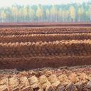 Attēls rakstam: Kūdras ieguve Latvijā – izaicinājumi un perspektīvas