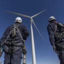 Attēls rakstam: Kurš pieradinās vēju novadā