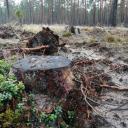 Attēls rakstam: No aprites neizmukt (1.daļa)