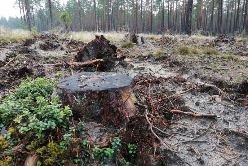 No aprites neizmukt (1.daļa)
