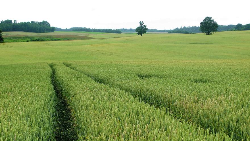 Attēls rakstam: Prognoze – par 5°C siltāks klimats (2.daļa)