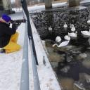 Attēls rakstam: Putnu fotogrāfe no Mārupes cenšas allaž būt kustībā