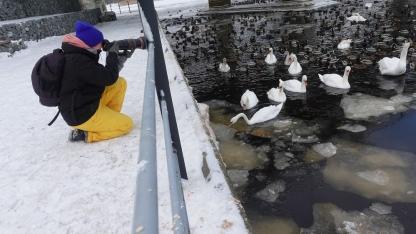 Attēls rakstam: Putnu fotogrāfe no Mārupes cenšas allaž būt kustībā