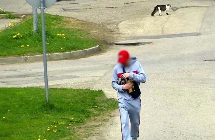 Vientuļa ballīte automašīnā noslēdzas ar zaudētām vadīšanas tiesībām uz pieciem gadiem