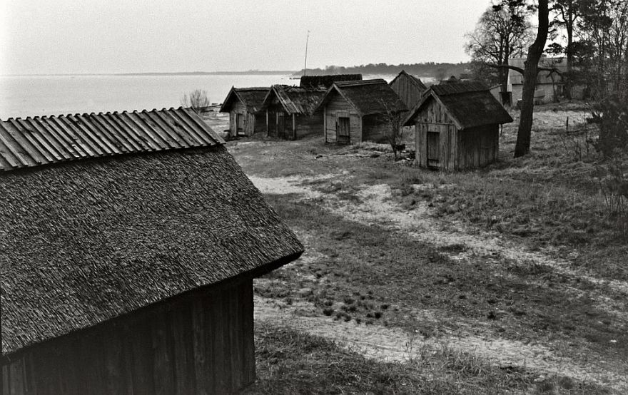 Zivis katlā un uz pannas – tās ir Mājas kafejnīcu dienas (1.daļa)